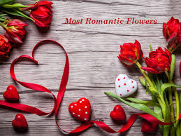 5 Best Flowers to Gift to Your Loved ones